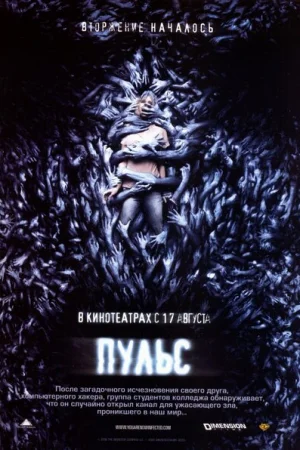 Пульс 